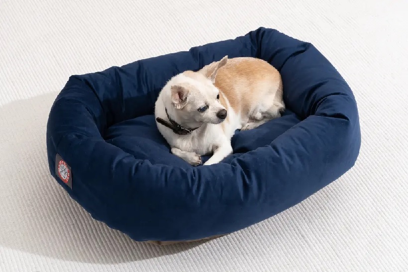 Best Dog Beds for Small Breeds: Cozy and Compact Options