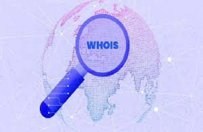 “Domain Age WHOIS Lookup: How to Check the Age and Details of Any Domain”