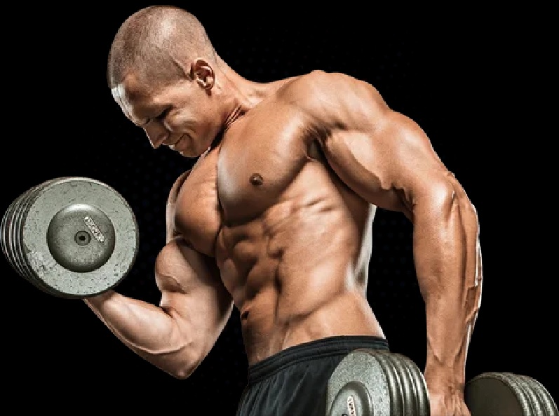“Top 5 Trusted Websites to Buy Steroids Online”
