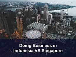 Why Choose Singapore or Indonesia for Your Business?