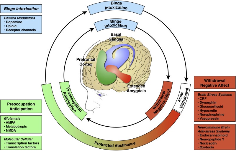 Exploring the Role of Pharmacotherapy in Alcohol Use Disorder Treatment